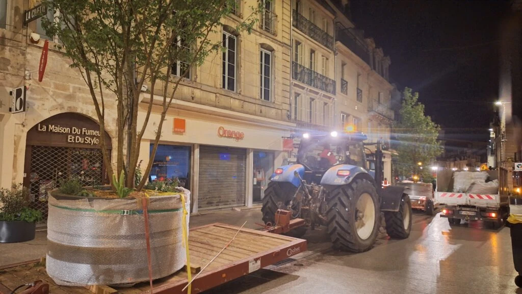Dijon : la Rue de la Liberté se met au vert