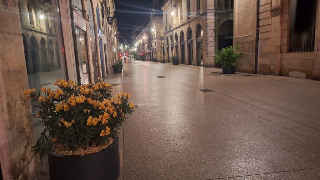 Dijon : la Rue de la Liberté se met au vert