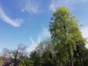 La chaleur persiste à Dijon, le temps pourrait tourner à l’orage dimanche