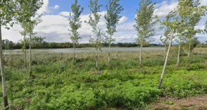 À Fontaine-Française, un projet de parc photovoltaïque flottant suscite l’opposition des Écologistes de Côte-d’Or