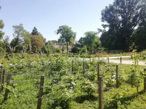 Météo : un week-end marqué par la chaleur
