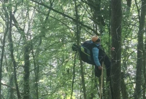 Baulme-la-Roche : coincé à dix mètres du sol, un parapentiste secouru par les pompiers