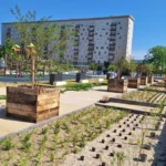À Chenôve, « Un été au parc » animera le Parc du Cèdre du 6 juillet au 21 août