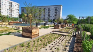 À Chenôve, « Un été au parc » animera le Parc du Cèdre du 6 juillet au 21 août