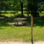 Barbecues au lac Kir : les maires de Dijon, Plombières-lès-Dijon et Talant appellent au respect des règles