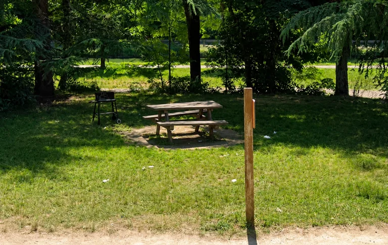 Barbecues au lac Kir : les maires de Dijon, Plombières-lès-Dijon et Talant appellent au respect des règles