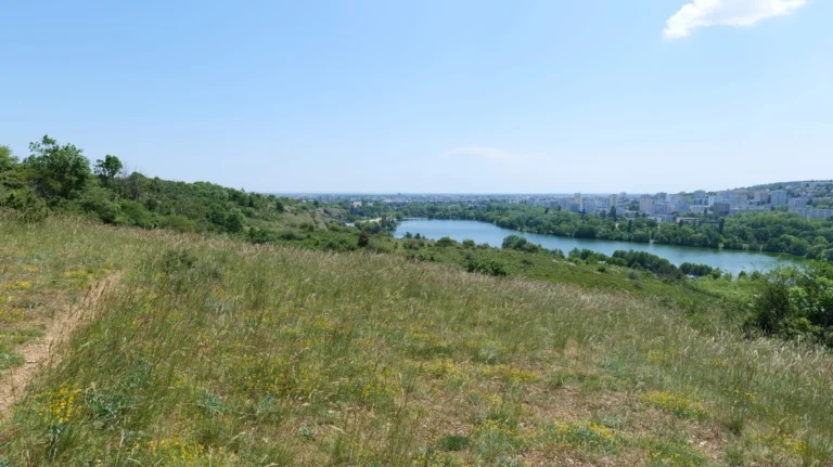 Vallée de l’Ouche : 2,5 hectares supplémentaires protégés pour préserver des pelouses remarquables