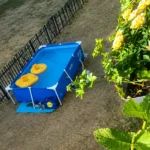 Chenôve : la piscine municipale ferme, une locataire installe une piscine au pied de l’immeuble… Orvitis lui demande de la retirer